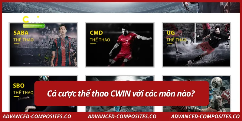 Cá cược thể thao CWIN với các môn nào?