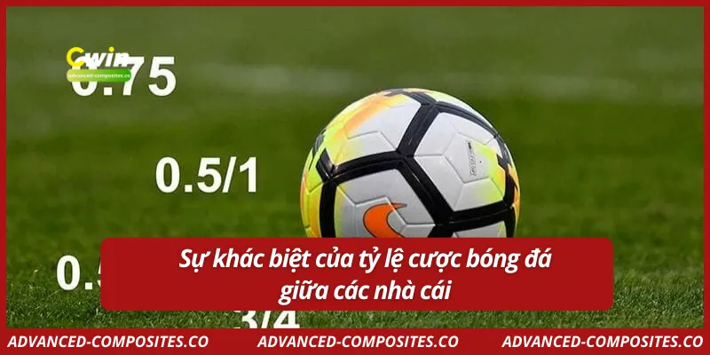 Sự khác biệt của tỷ lệ cược bóng đá giữa các nhà cái