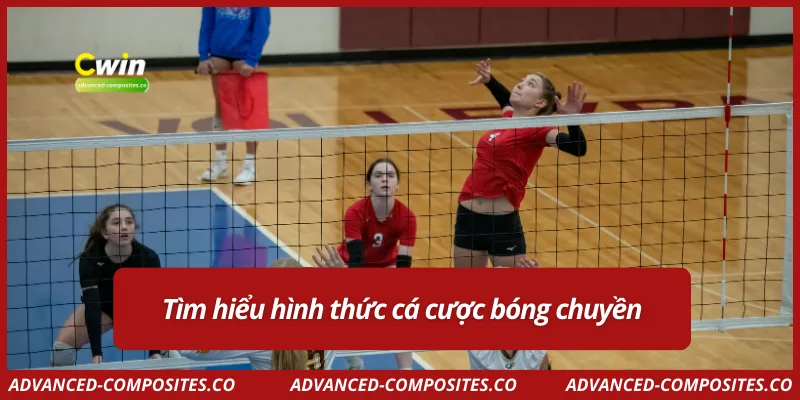 Tìm hiểu hình thức cá cược bóng chuyền